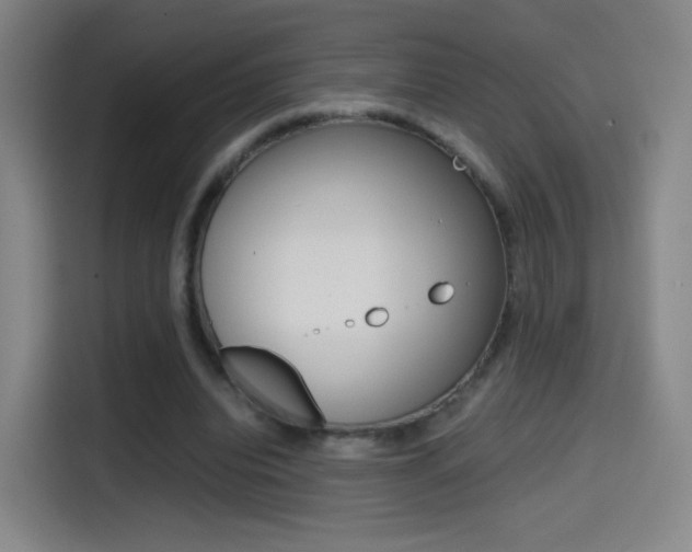 X0000114560440200910191014