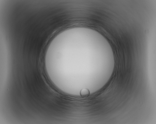 X0000114560444200910191014