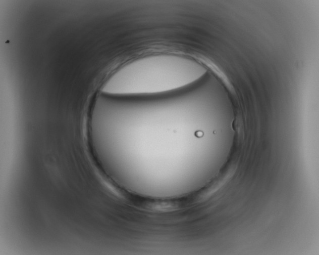 X0000114560445200910191014