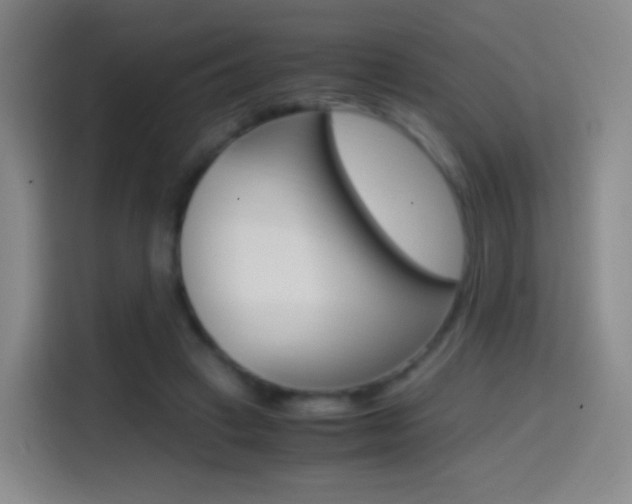 X0000114560449200910191014