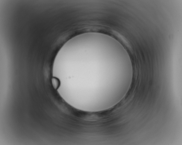 X0000114560451200910191014