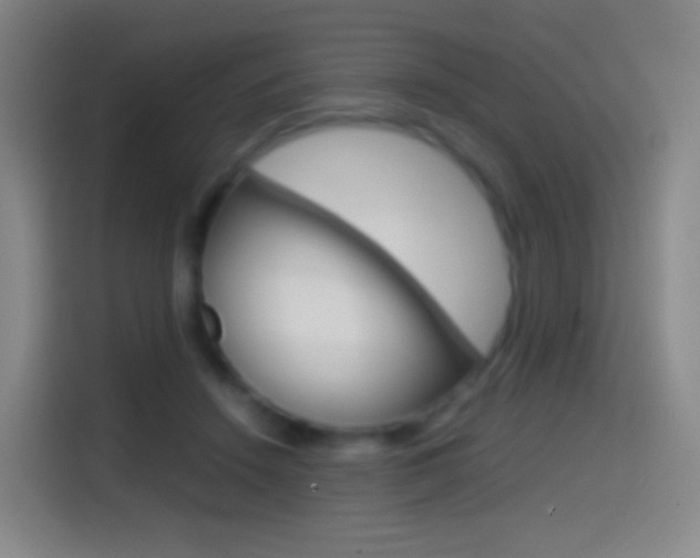 X0000114560456200910191015