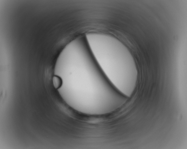 X0000114560458200910191015