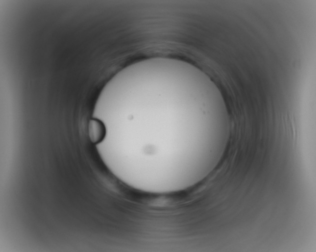 X0000114560460200910191015