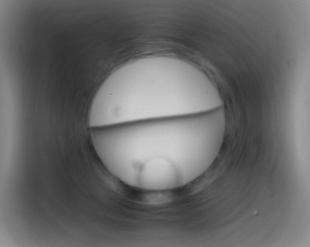 X0000114560465200910191015