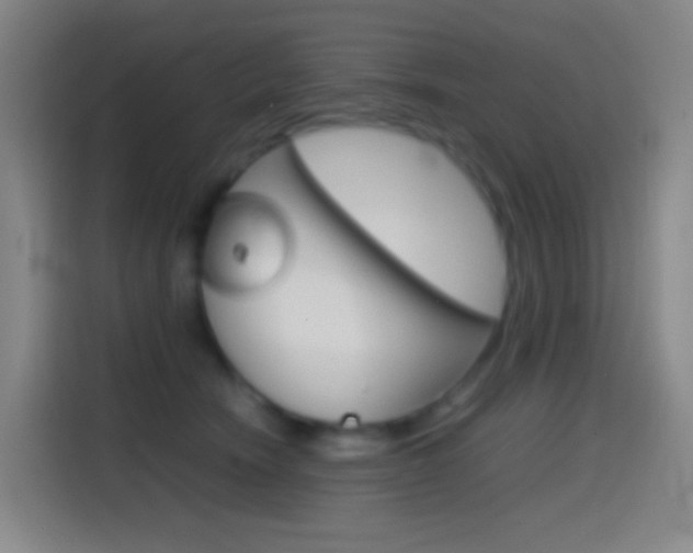 X0000114560466200910191015