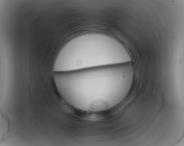 X0000114560467200910191015