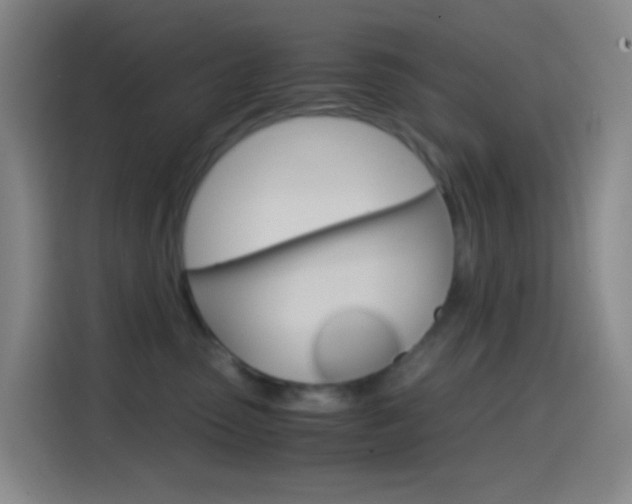X0000114560475200910191015