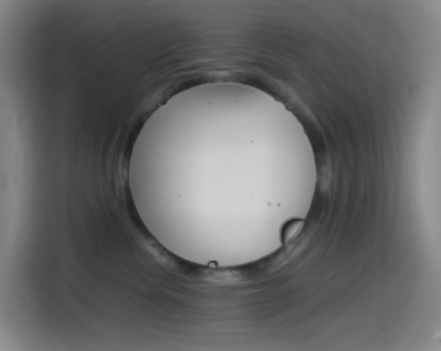 X0000114560476200910191015