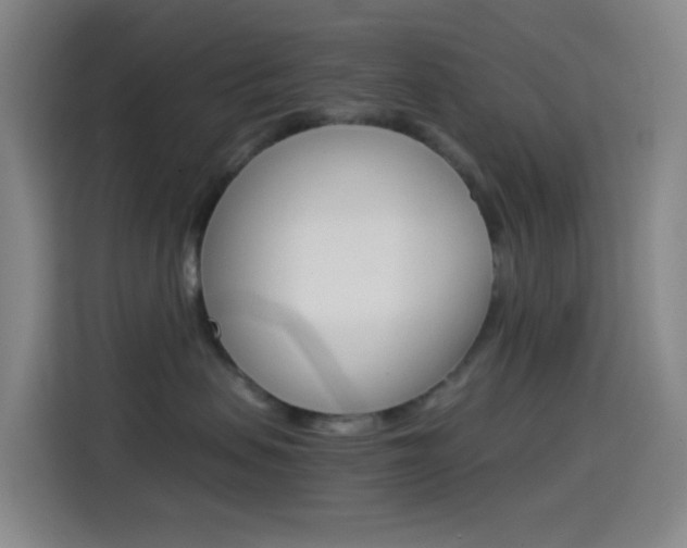 X0000114560479200910191015