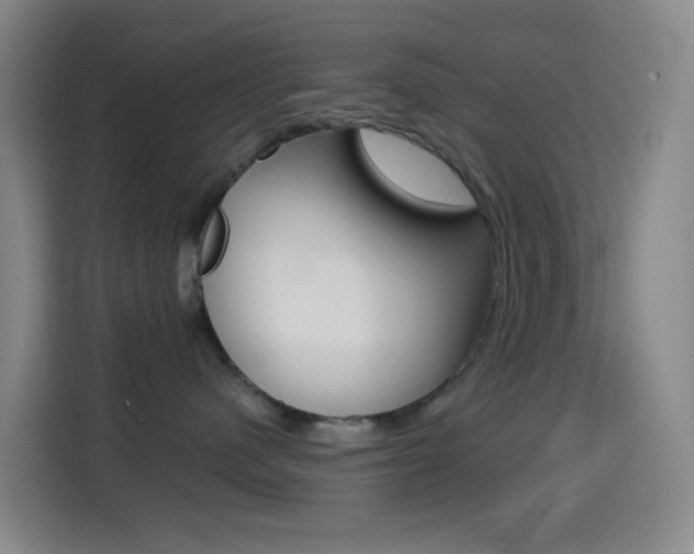 X0000114560480200910191015