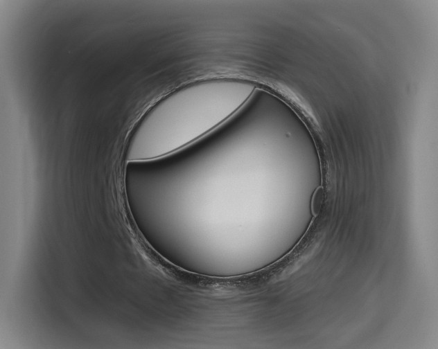 X0000114560481200910191014