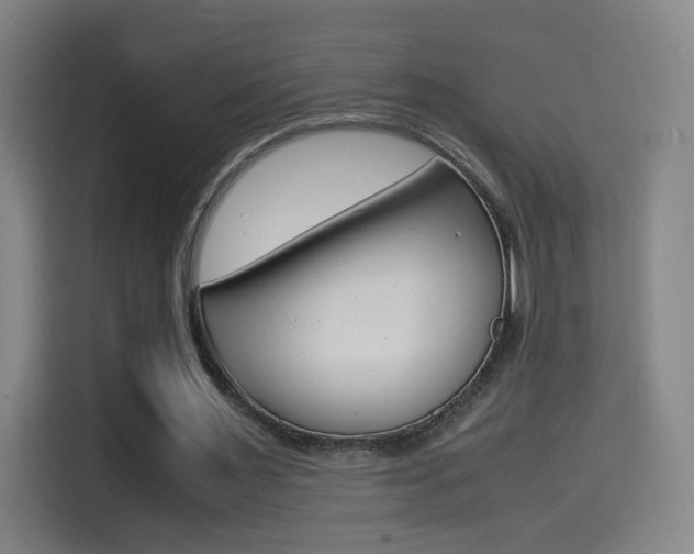X0000114560483200910191014