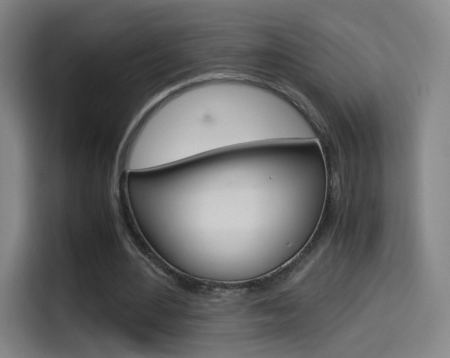 X0000114560484200910191014