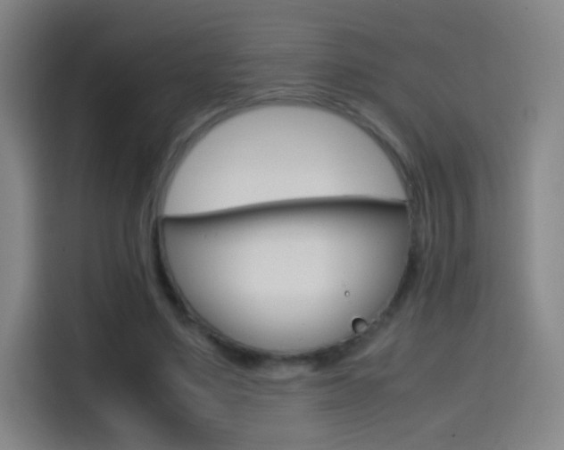 X0000114560491200910191014