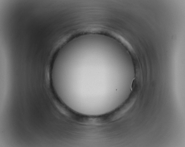 X0000114560493200910191014