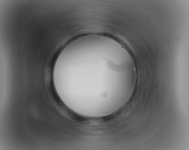 X0000114560495200910191014