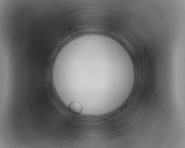 X0000114560496200910191014