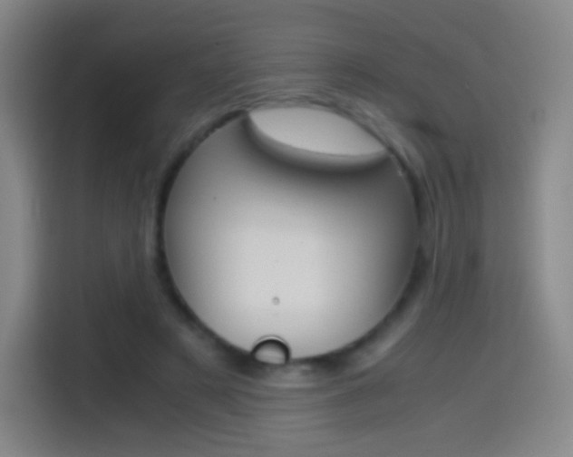 X0000114560497200910191014