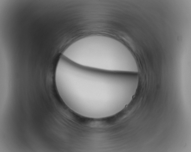 X0000114560499200910191014