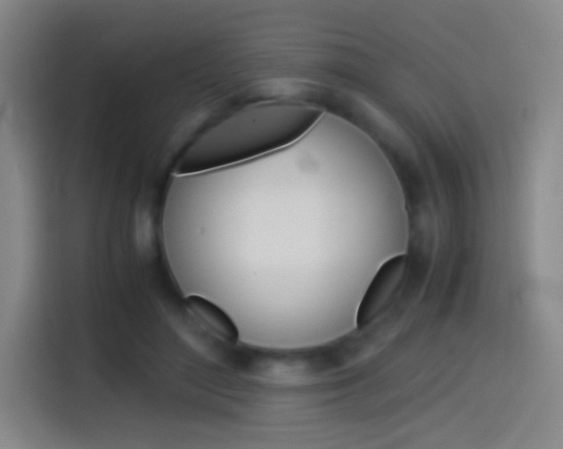 X0000114560500200910191014