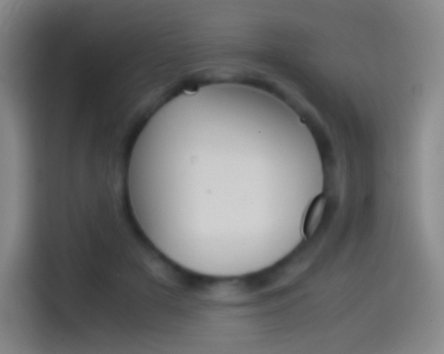 X0000114560505200910191014
