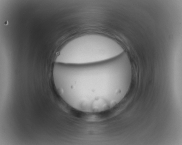 X0000114560507200910191014