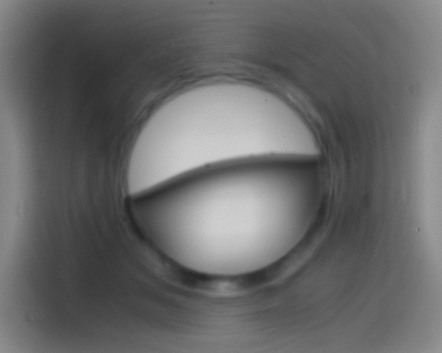 X0000114560509200910191014