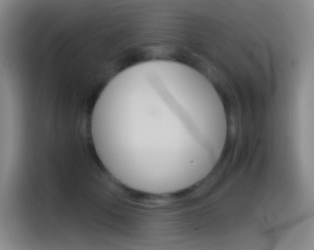 X0000114560514200910191014