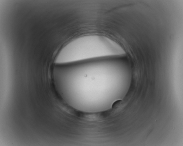 X0000114560516200910191014