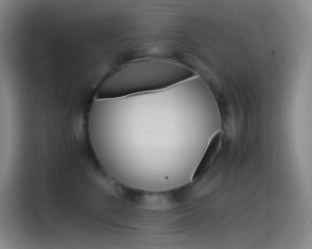 X0000114560520200910191014