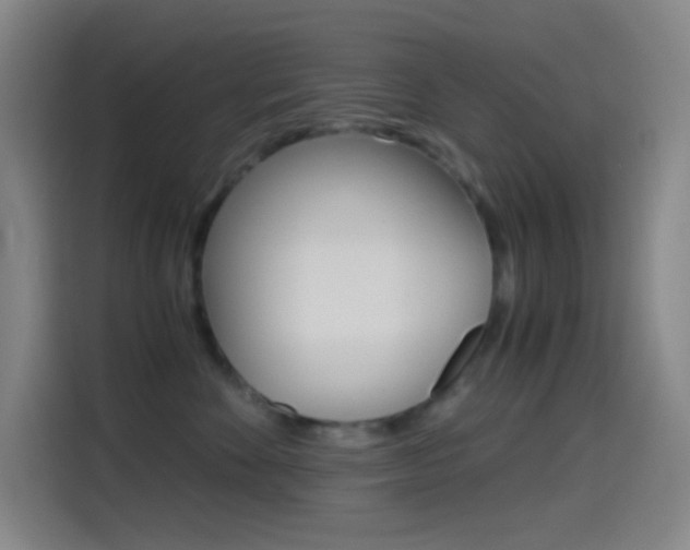 X0000114560524200910191014