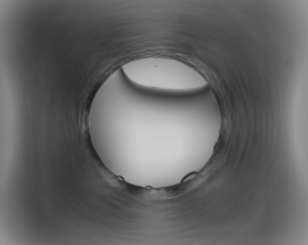 X0000114560525200910191014