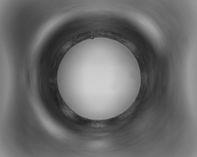 X0000114560526200910191014