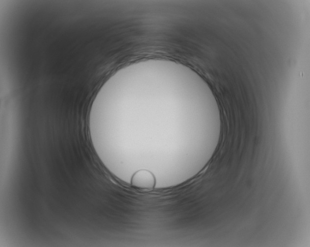X0000114560528200910191014