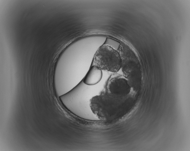 X0000114560529200910191013