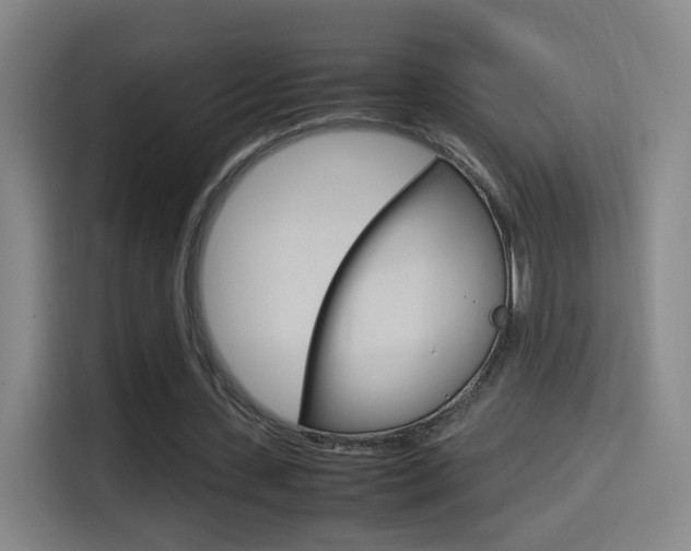 X0000114560531200910191013