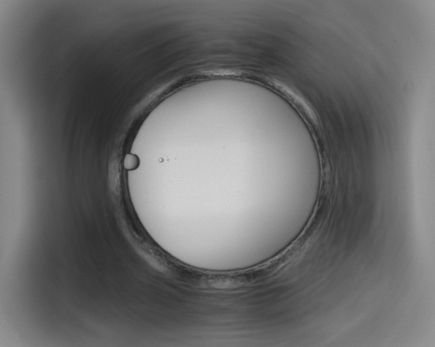 X0000114560533200910191013