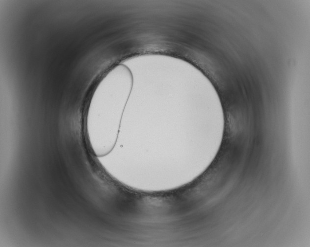 X0000114560534200910191013