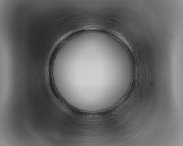 X0000114560535200910191013