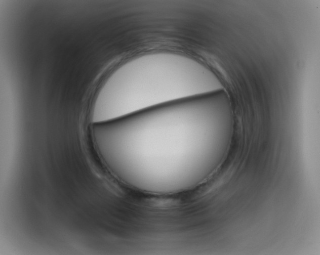 X0000114560539200910191013