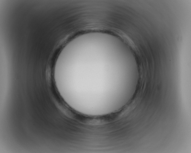 X0000114560542200910191013