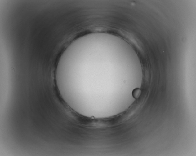 X0000114560545200910191013