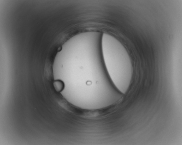 X0000114560554200910191013
