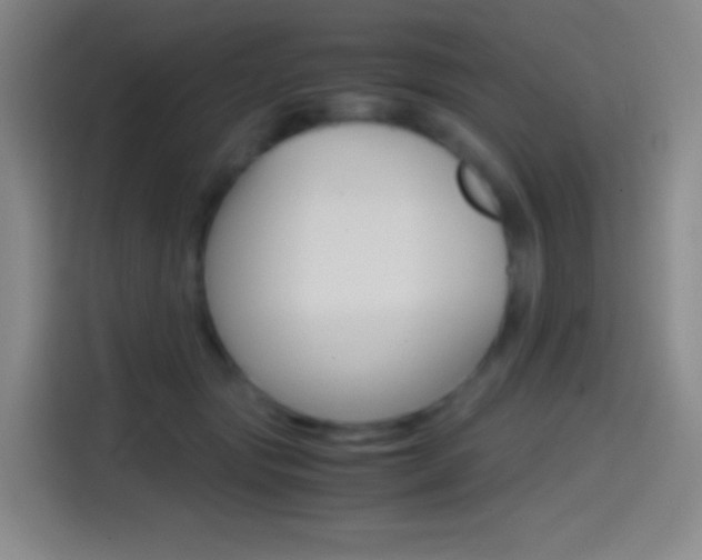 X0000114560557200910191013
