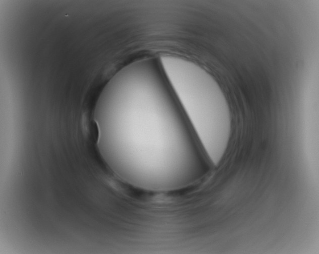 X0000114560562200910191013