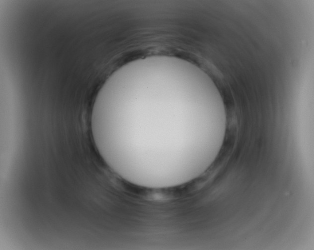 X0000114560565200910191013
