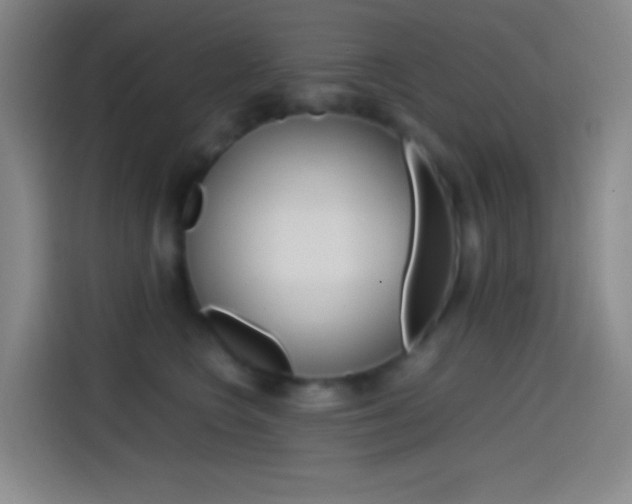 X0000114560566200910191013