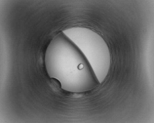 X0000114560570200910191014