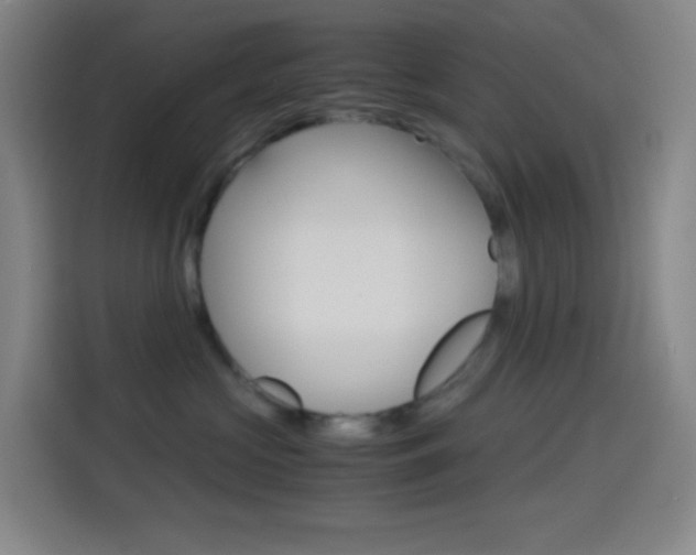 X0000114560573200910191014
